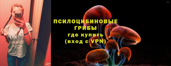2c-b Заволжье