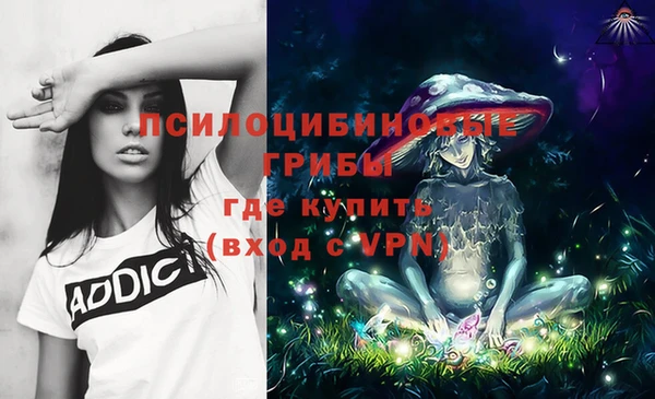 дживик Заволжск