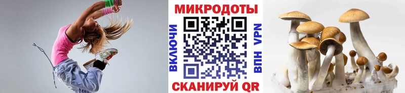 Галлюциногенные грибы Psilocybine cubensis  магазин  наркотиков  даркнет какой сайт  Знаменск 