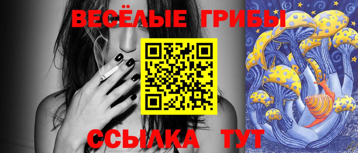 Галлюциногенные грибы прущие грибы Знаменск