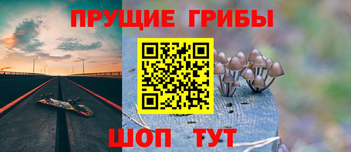 Галлюциногенные грибы Psilocybine cubensis  Псилоцибиновые грибы Psilocybe  Вход с VPN  Знаменск 